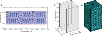 A phenomenological model of proton FLASH oxygen depletion effects depending on tissue vasculature and oxygen supply